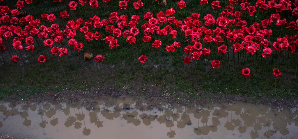 Remembrance Sunday around the Diocese