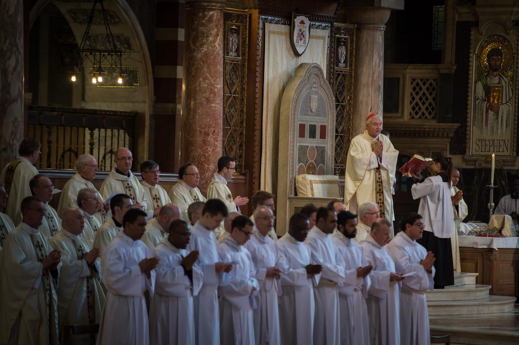 New Videos about Priestly Vocations