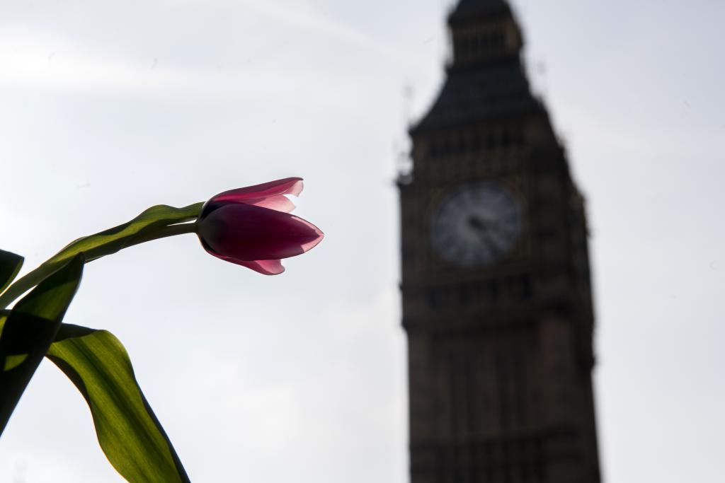 Bishops’ Statement on 50th Anniversary of Abortion Act