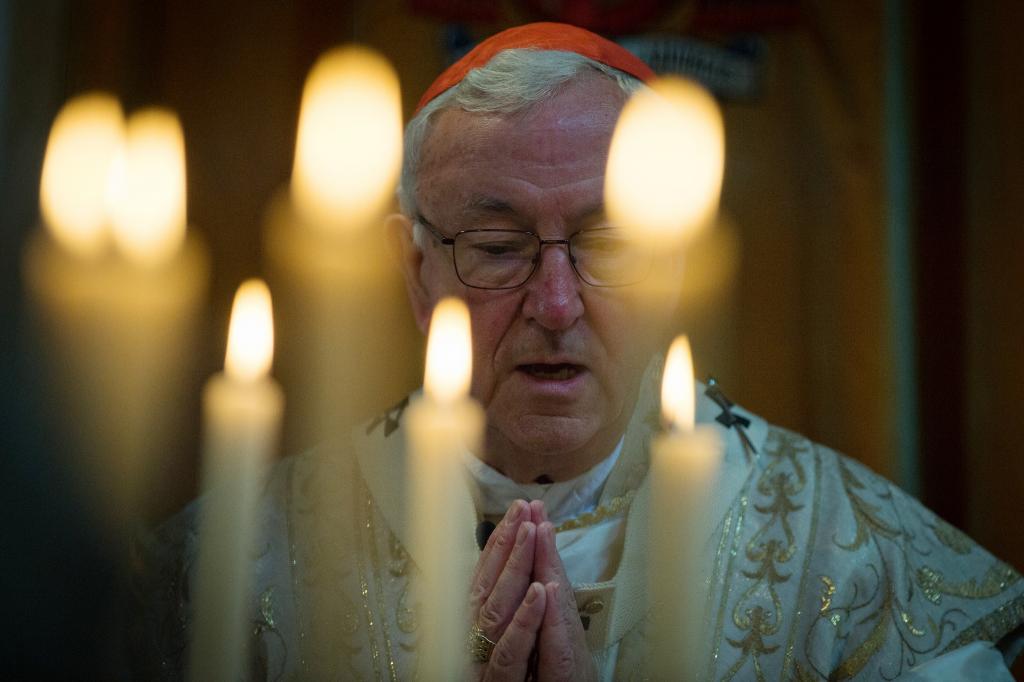 Cardinal asks for prayers for the meeting on protection of minors in Rome