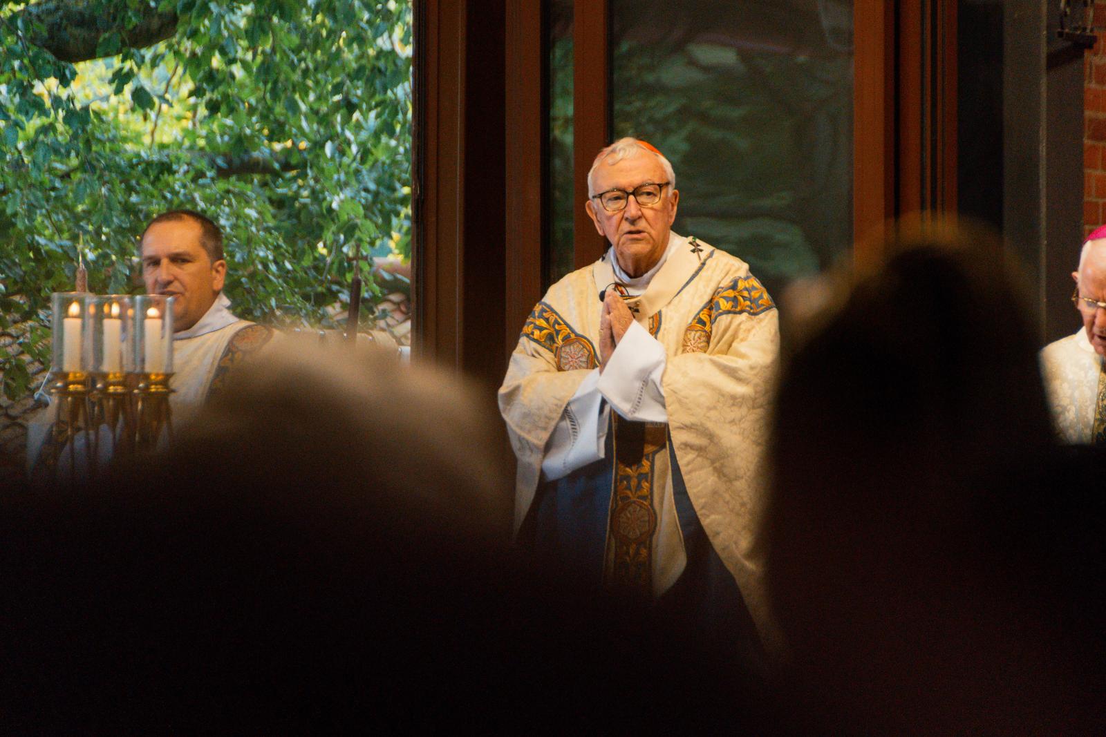 Cardinal calls for sustained prayers for peace