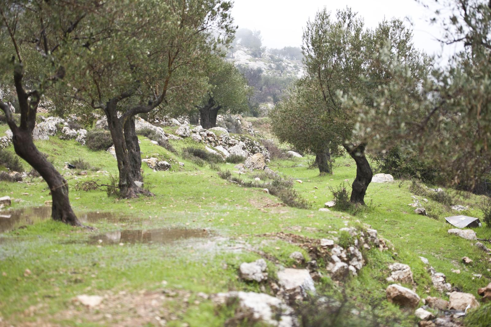 Pope’s Message for the World Day for the Care of Creation