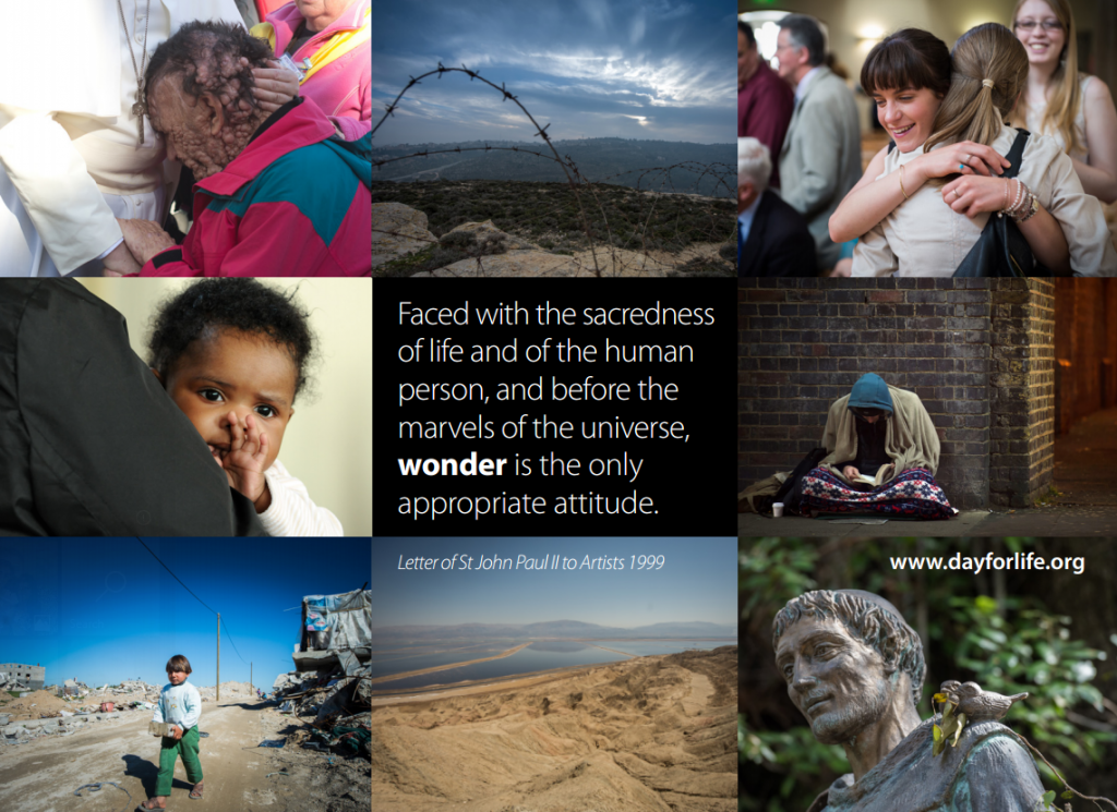Day for Life: The Wonder of Life