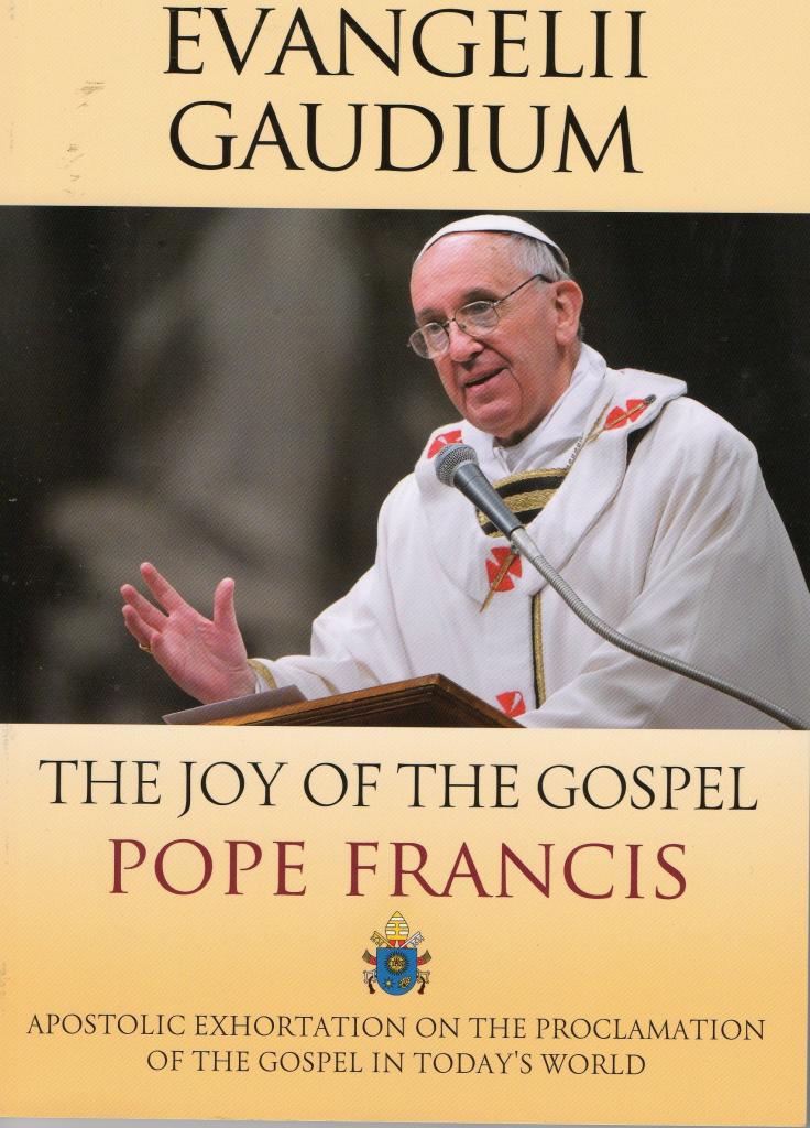 Vocation Discernment Group: Exploring Evangelii Gaudium