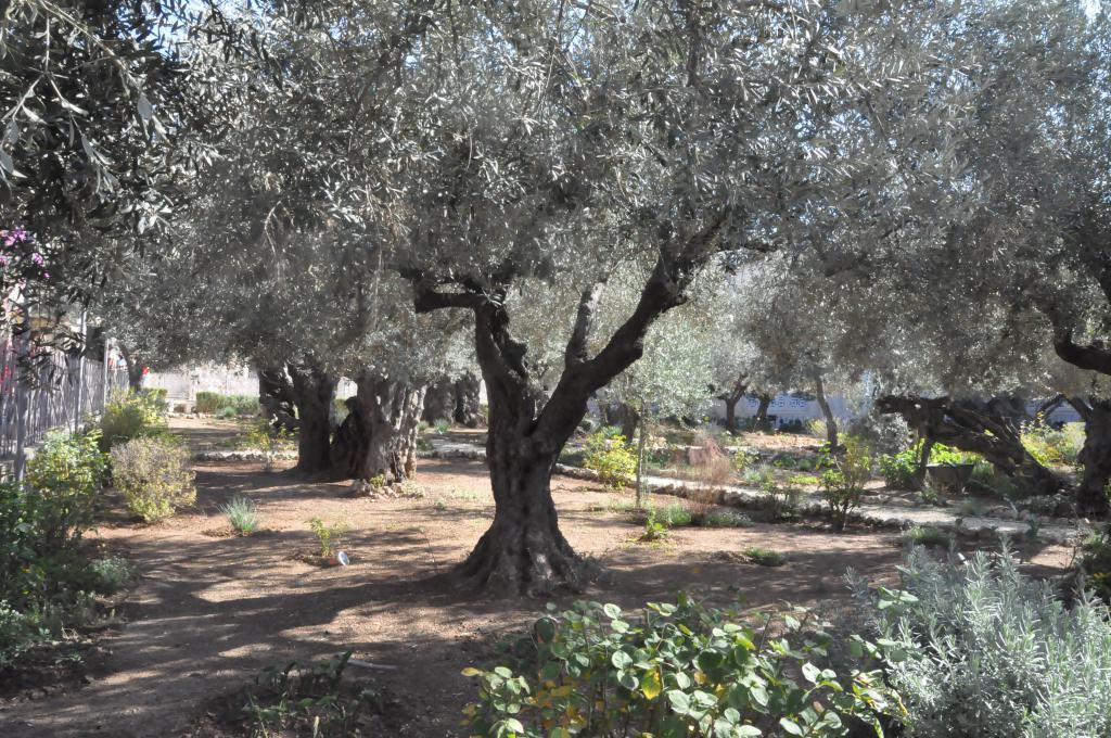 Day 3: Jerusalem