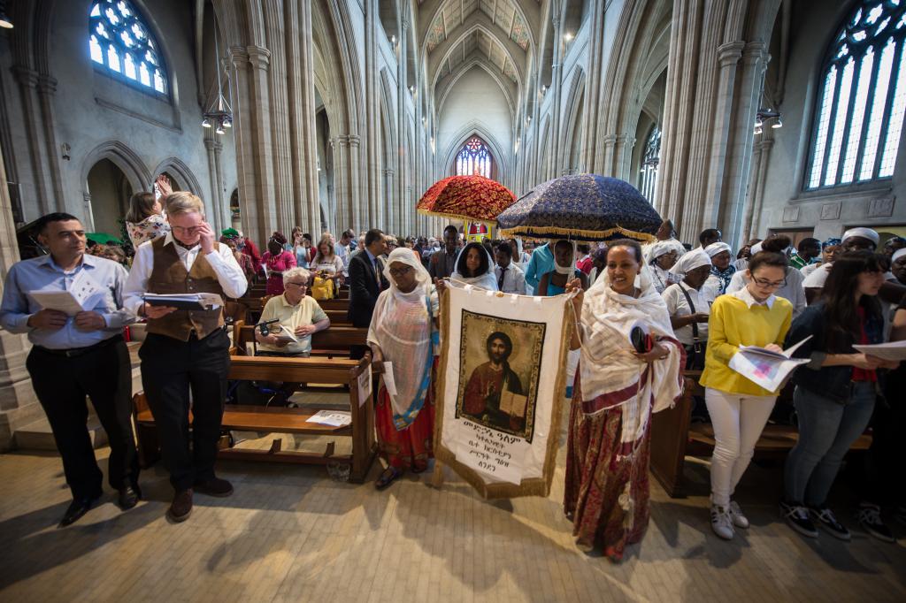 Recognising migrants’ contribution