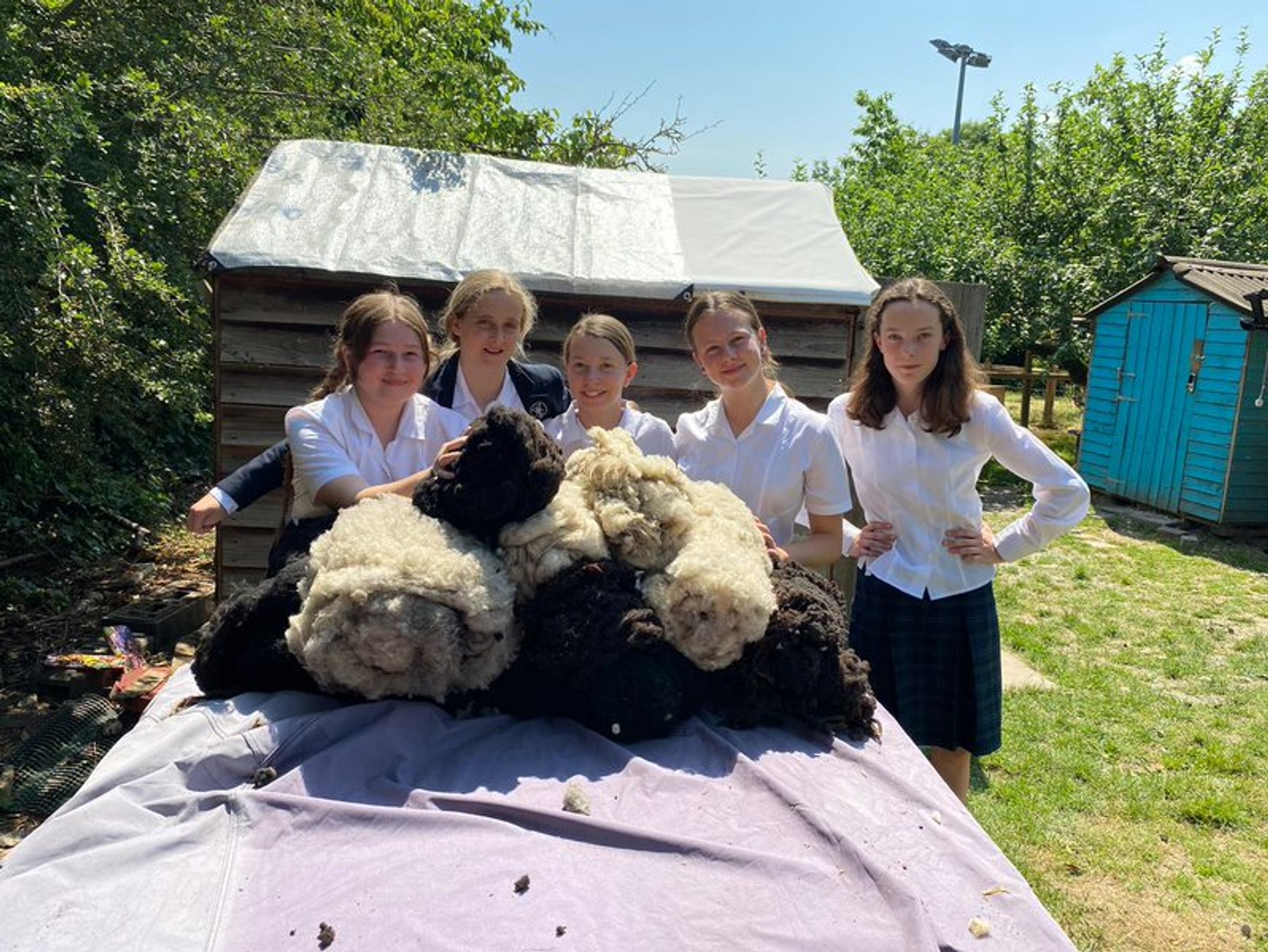Keeping the flock cool at St Augustine’s Priory