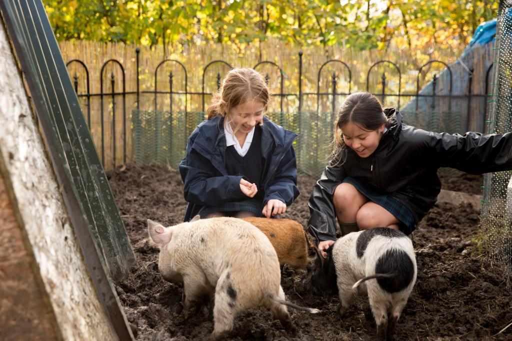 St Augustine’s Priory Farm Nominated for School Farm Awards