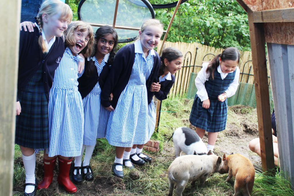 Learning to build a sustainable future