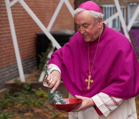 Archbishop joins celebration of the Sisters of Mercy